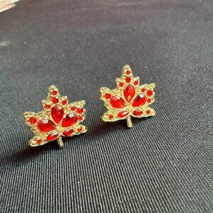 Brand new perfect earrings